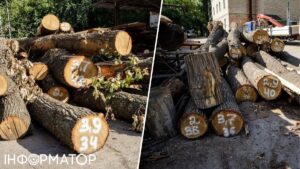 Теплотраса на Теремках – у КМДА кажуть, що можуть зберегти від вирубки 160 дерев